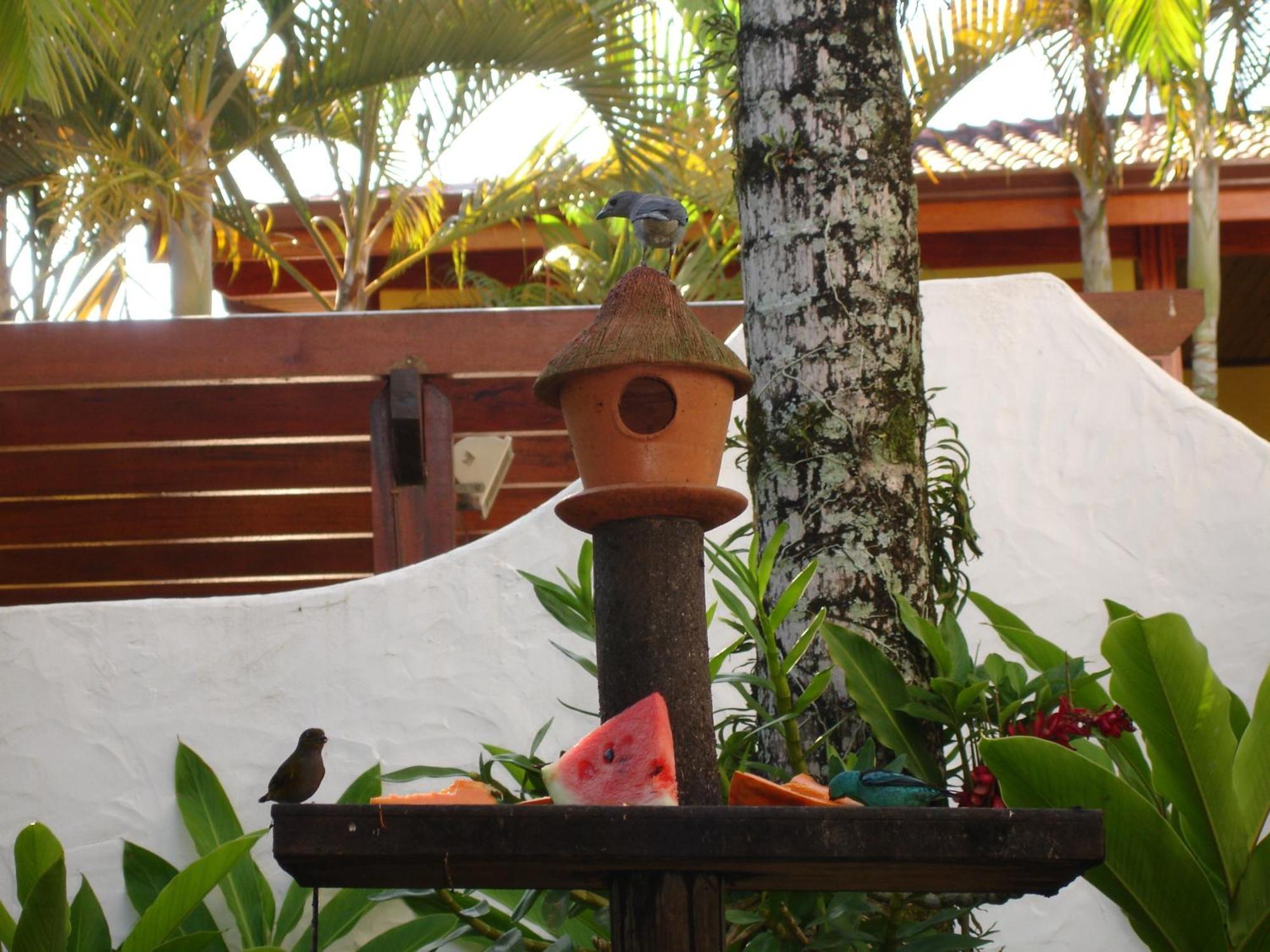 Pousada Torre Del Mar Ubatuba Exterior photo